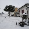 la grande nevicata del febbraio 2012 102